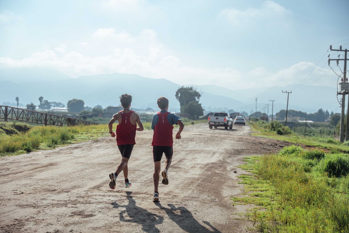 SLU-PP-332: The Exercise Mimetic That Makes the Body Train Without Training