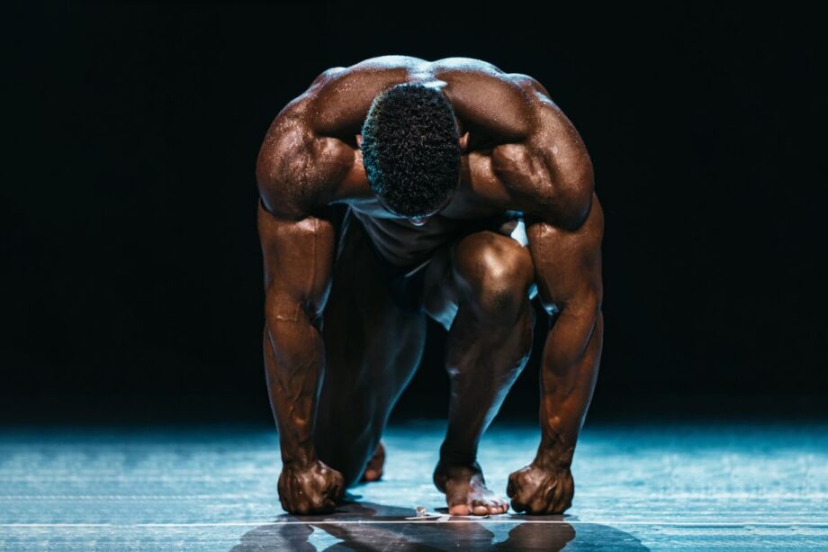 IGF-1 LR3 muscle and recovery research