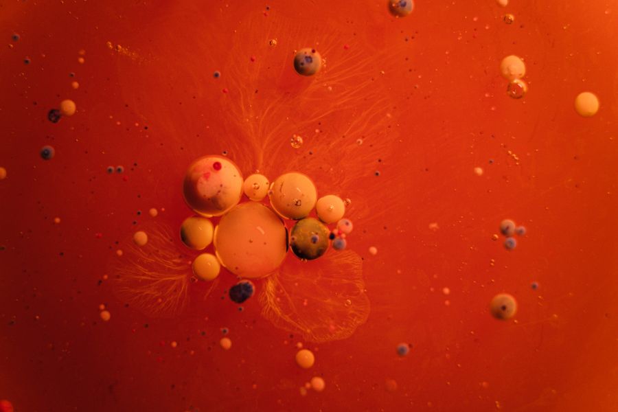 Cellular science abstract